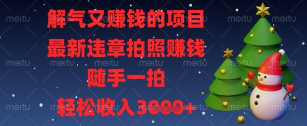 解气又挣钱的项目，最新违章拍照挣钱，随手一拍，轻松收入数张【揭秘】-青年云网创—高质量项目商城